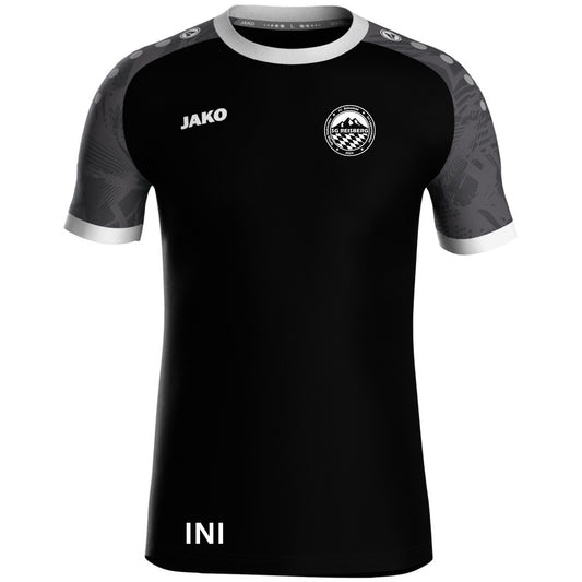 Jako Trikot Iconic kurzarm SG Reisberg