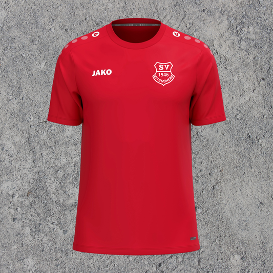 SV Eitensheim Volleyball T-Shirt One rot